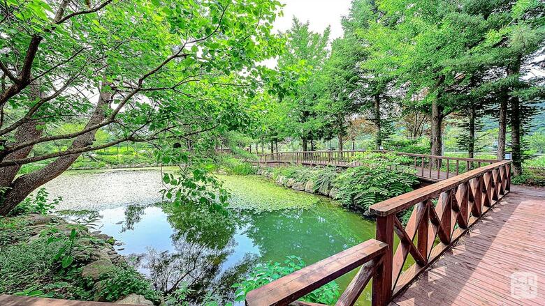 Hotel May Garden