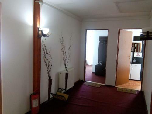 Hostal Pensiunea Casa Bratia