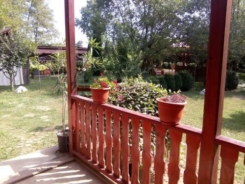 Hostal Pensiunea Casa Bratia
