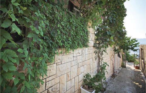 One-bedroom Apartment In Sucuraj