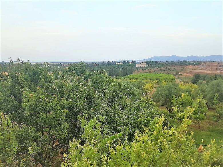 Villa Ferme Andalousse