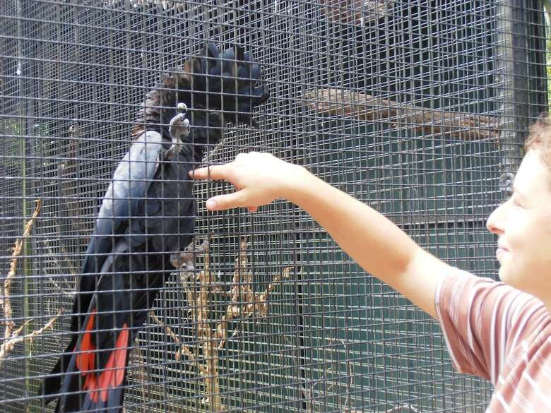 Daintree Wild Zoo & Bed And Breakfast