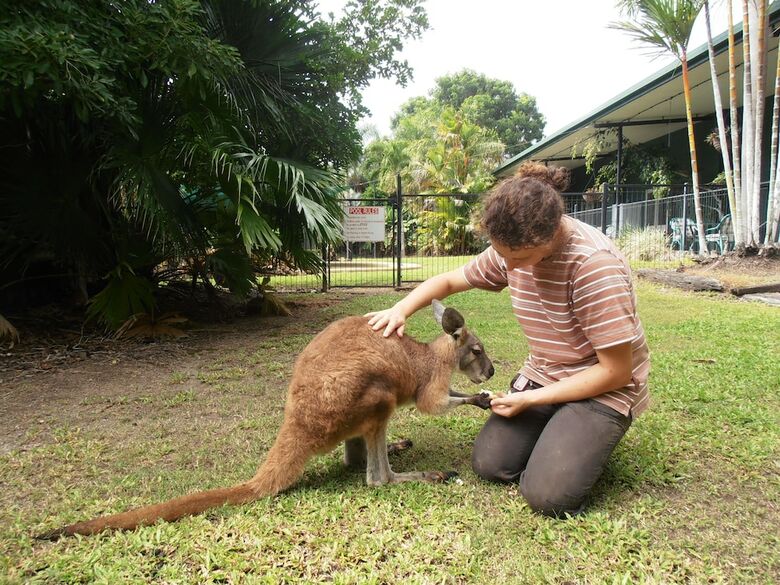 Daintree Wild Zoo & Bed And Breakfast