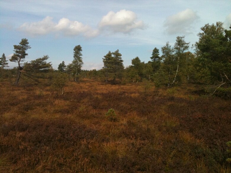 Landhotel Weisses Ross