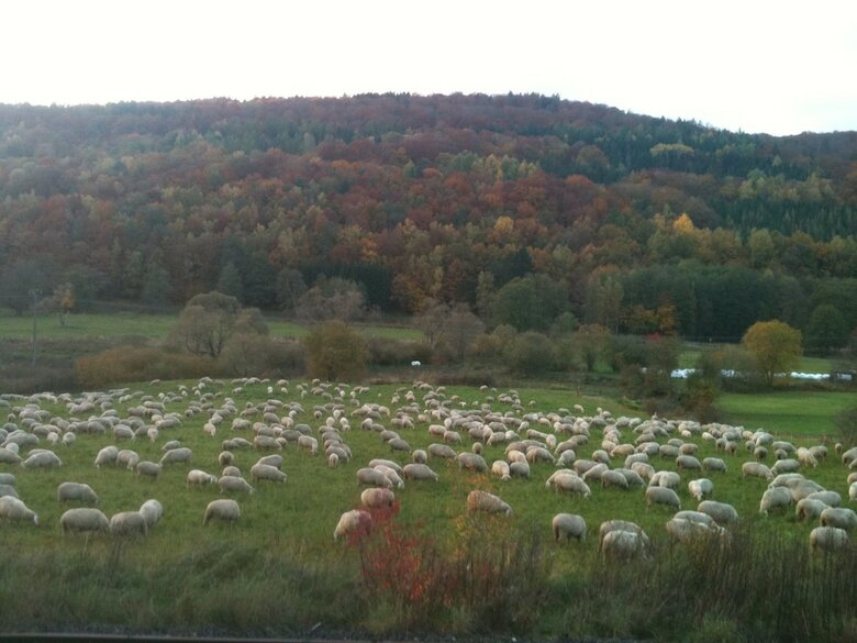 Landhotel Weisses Ross