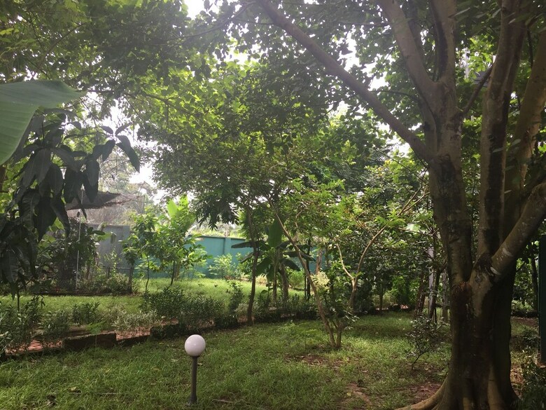 Amadi Villa