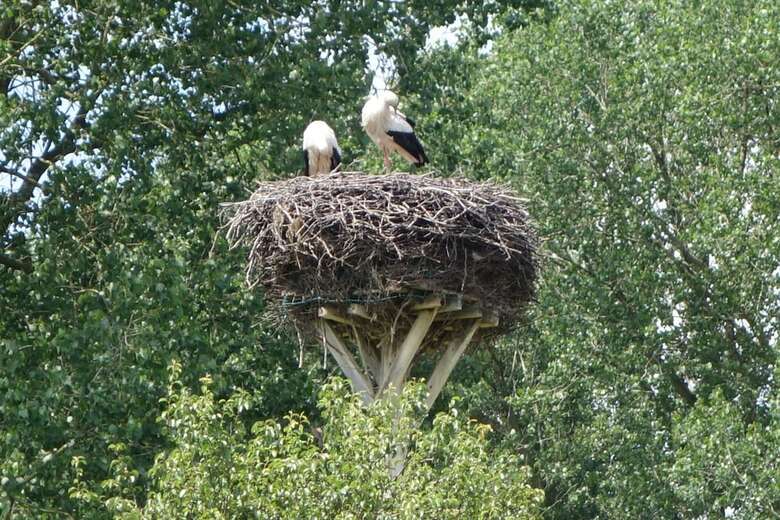 Ferienwohnungen Kampe