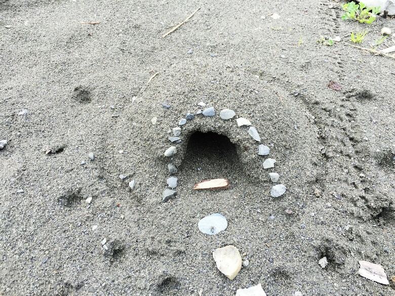 Mt. Baker Lodging Cabin 42 ? Pets Ok, Wifi, Sleeps 6! By Mbl