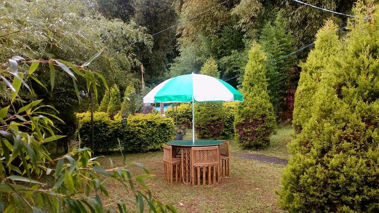 Hotel Dhardo Retreat & Resort