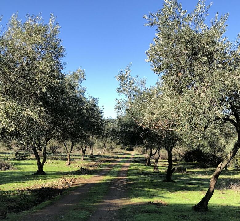 Agroturismo Moulin de L'ostriconi