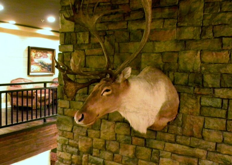 Hotel Creekside Lodge And Event Center
