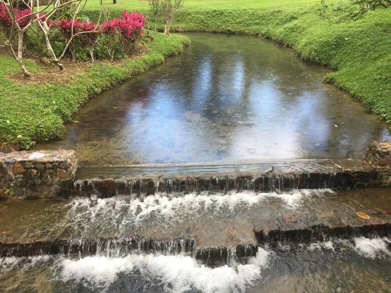 Valley Stream Farm