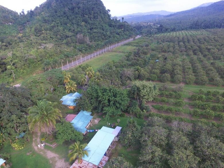 Valley Stream Farm