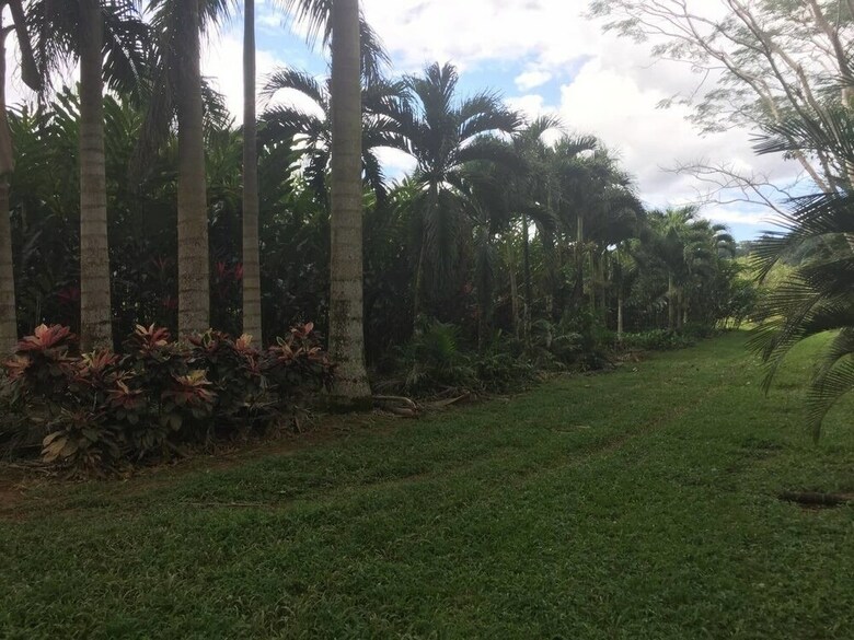 Valley Stream Farm