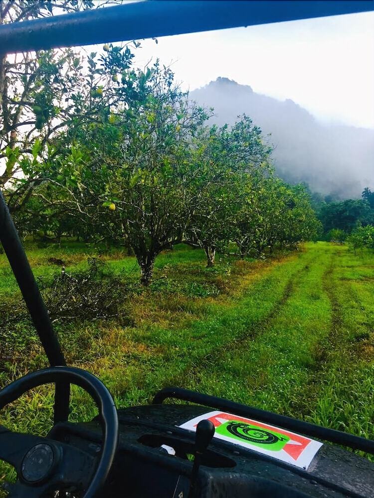 Valley Stream Farm