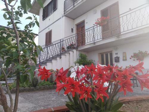 Bed & Breakfast Dolce Risveglio