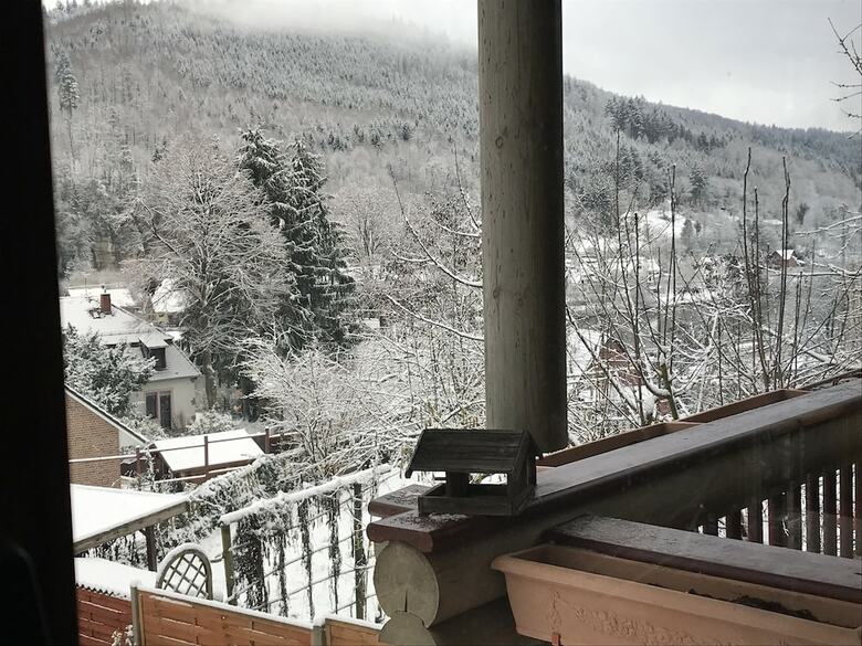 Apartamentos Villa Ecologica