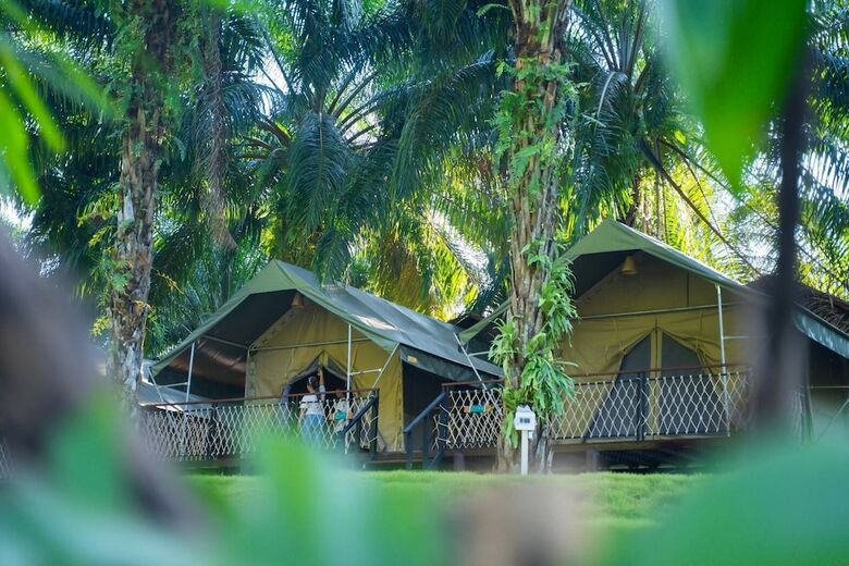 Hotel Khaosok Ecolodge