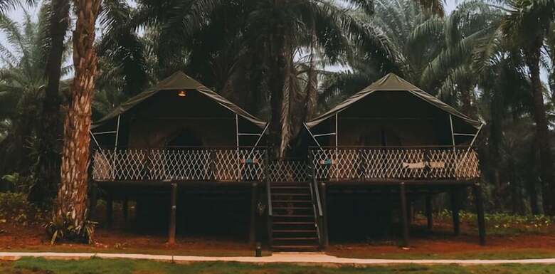 Hotel Khaosok Ecolodge
