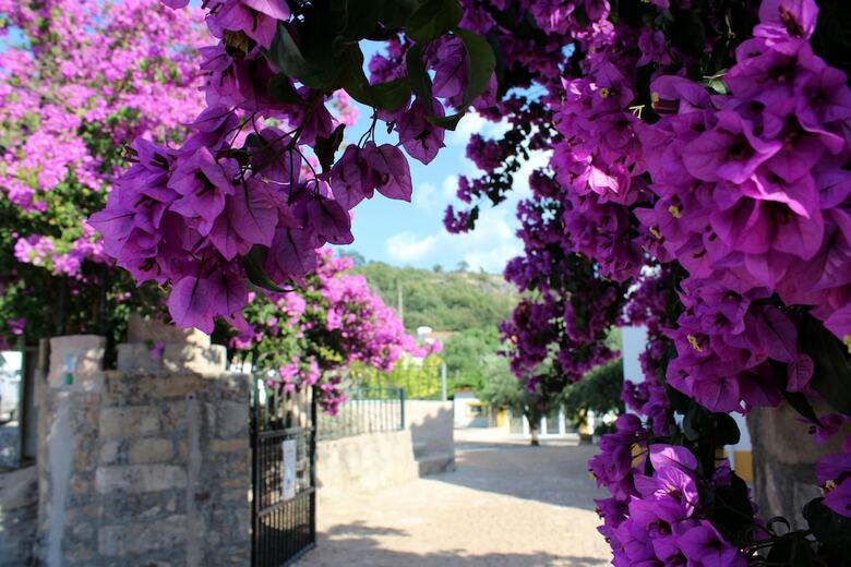 Agroturismo Aromas Dos Salgueiros
