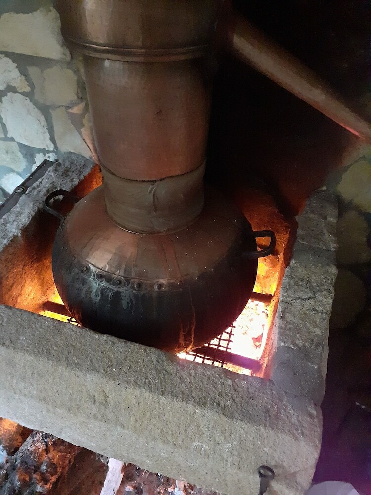 Agroturismo Aromas Dos Salgueiros