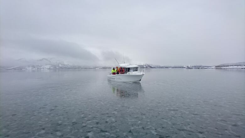 Cabana Arctic Seasport
