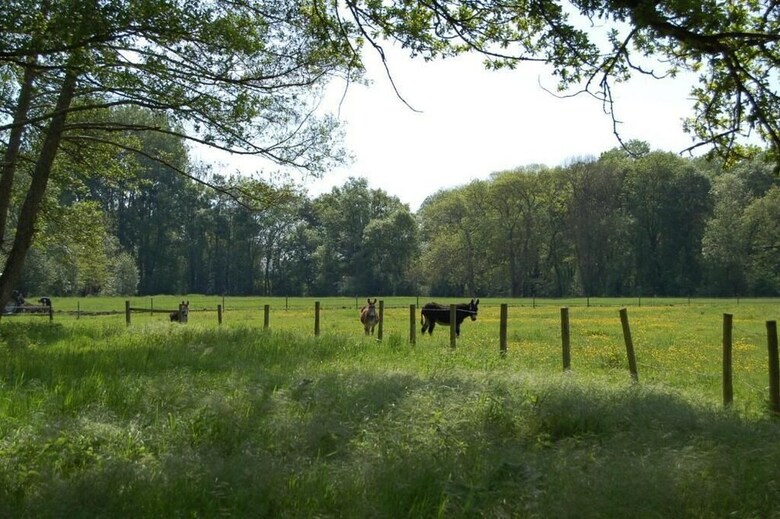 Bed & Breakfast Le Moulin Neuf