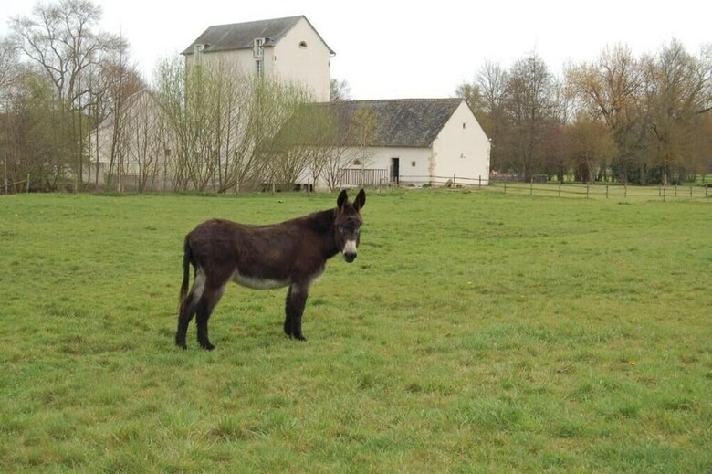 Bed & Breakfast Le Moulin Neuf