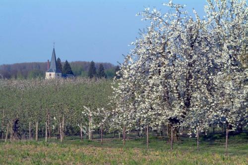 B&B Ch�teau De La Motte