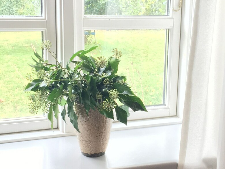 Hotel Spangsgaard Bed And Breakfast