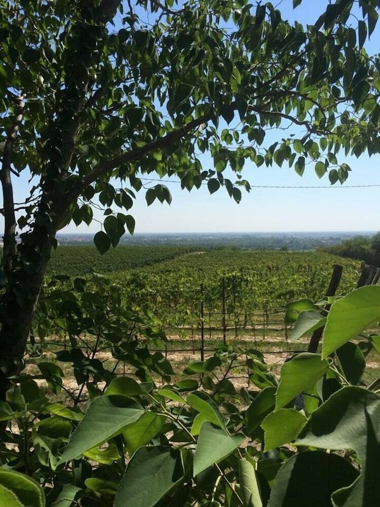Agroturismo Agriturismo Alba