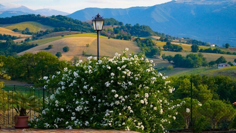 Agroturismo Agriturismo Pascucci
