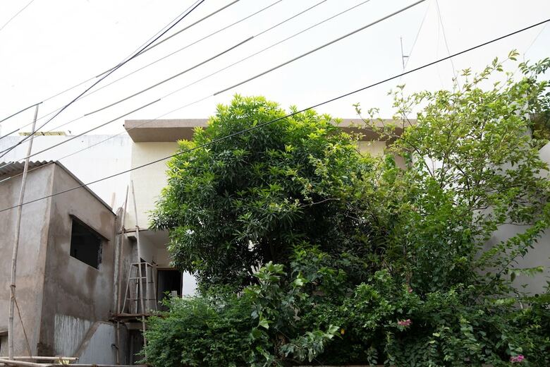 Hotel Oyo 27653 Savoy Suites