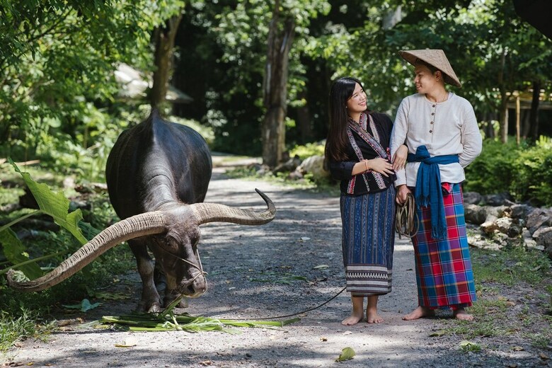 Hotel Luxury Camp@green Jungle Park
