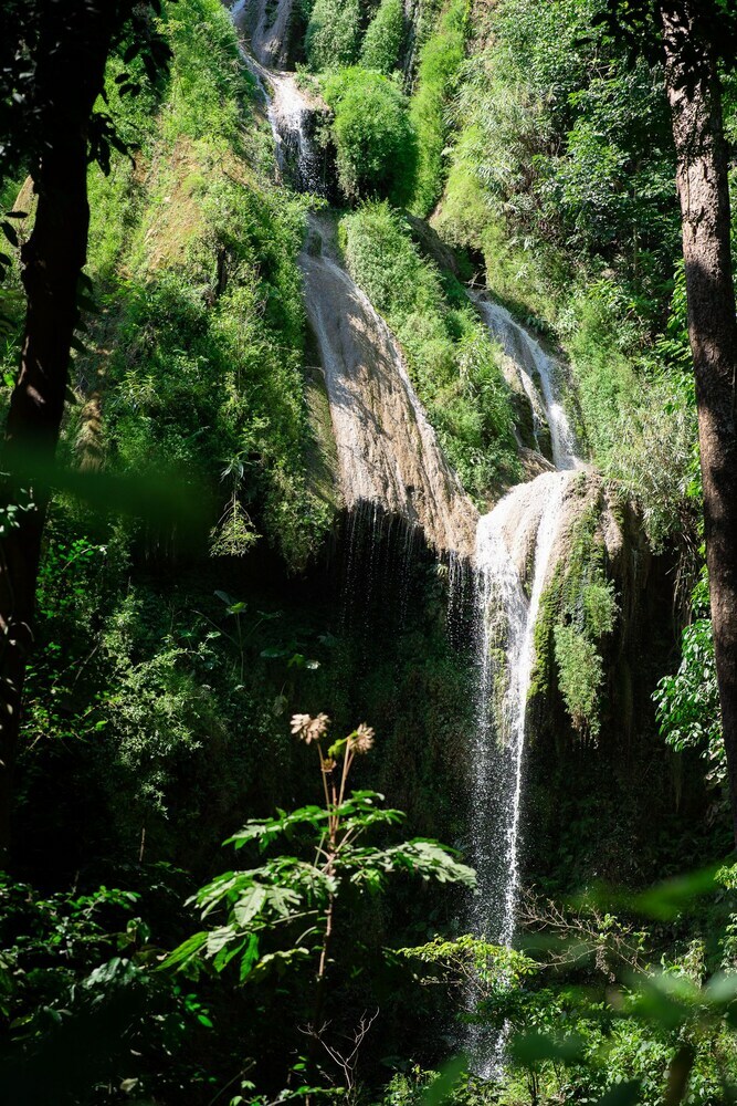 Hotel Luxury Camp@green Jungle Park