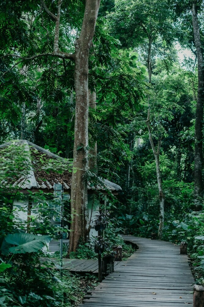 Hotel Luxury Camp@green Jungle Park