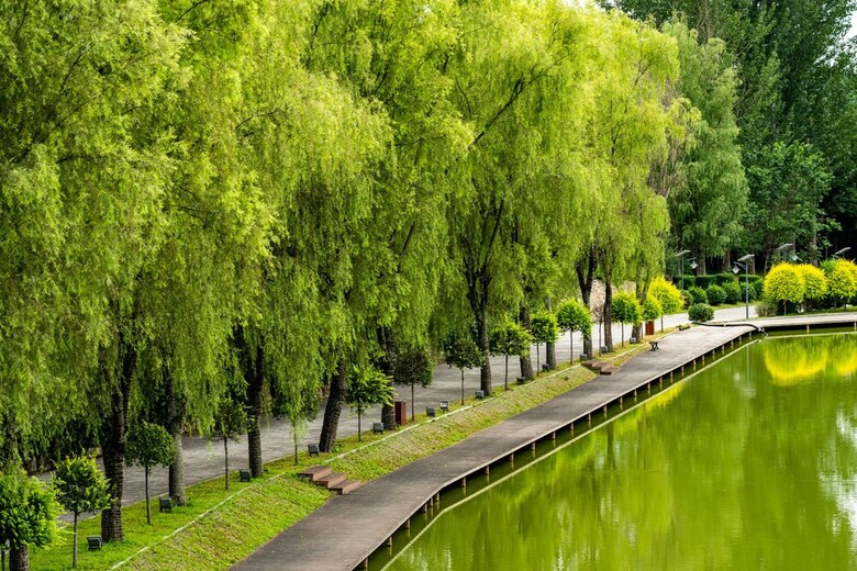 Innature.hanyang Hotel
