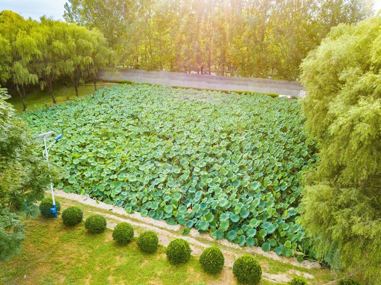 Innature.hanyang Hotel