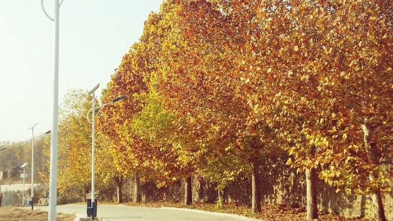Innature.hanyang Hotel
