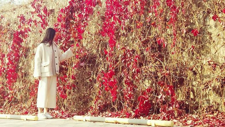 Innature.hanyang Hotel