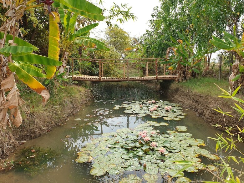 Hotel Mint Bodhivann Jungle Retreat
