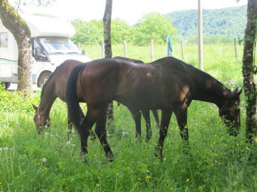 Bed & Breakfast Chambres D Hotes Du Monthiou