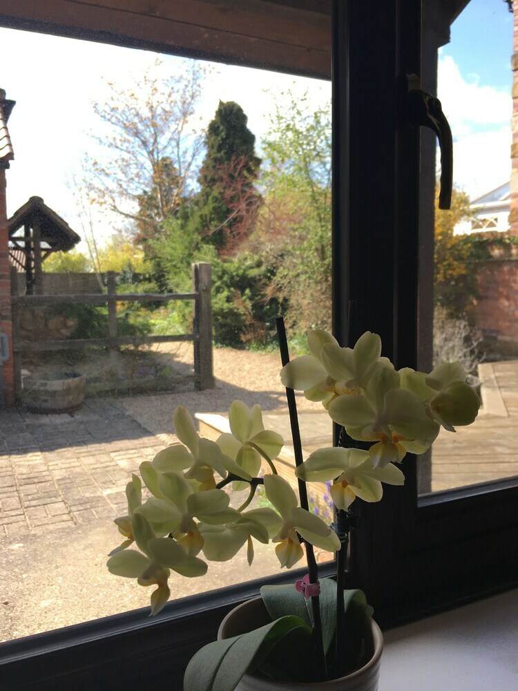 Bed & Breakfast The Stables At Harby