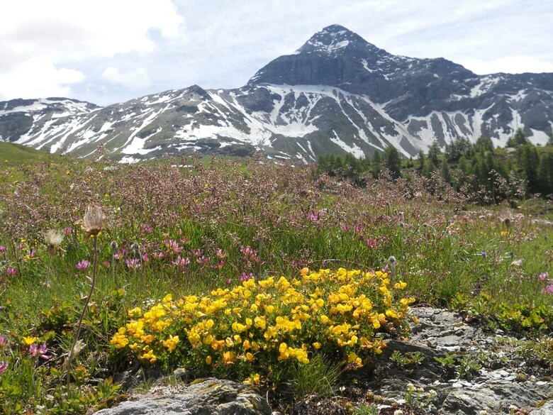 Agroturismo Rifugio Ca Runcasch