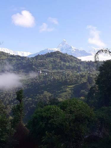Agroturismo Nature Side Cottage