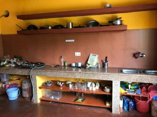 Hostal Palm Garden Lodge