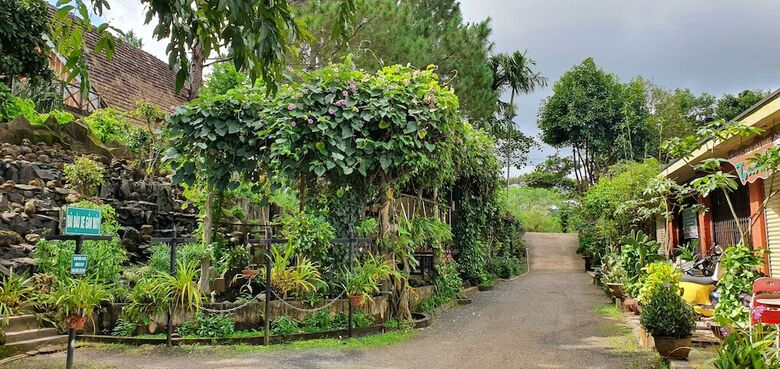 Bed & Breakfast Tithonia Homestay