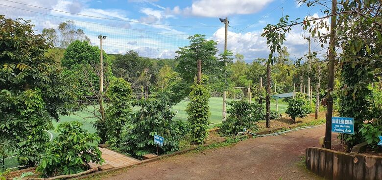 Bed & Breakfast Tithonia Homestay