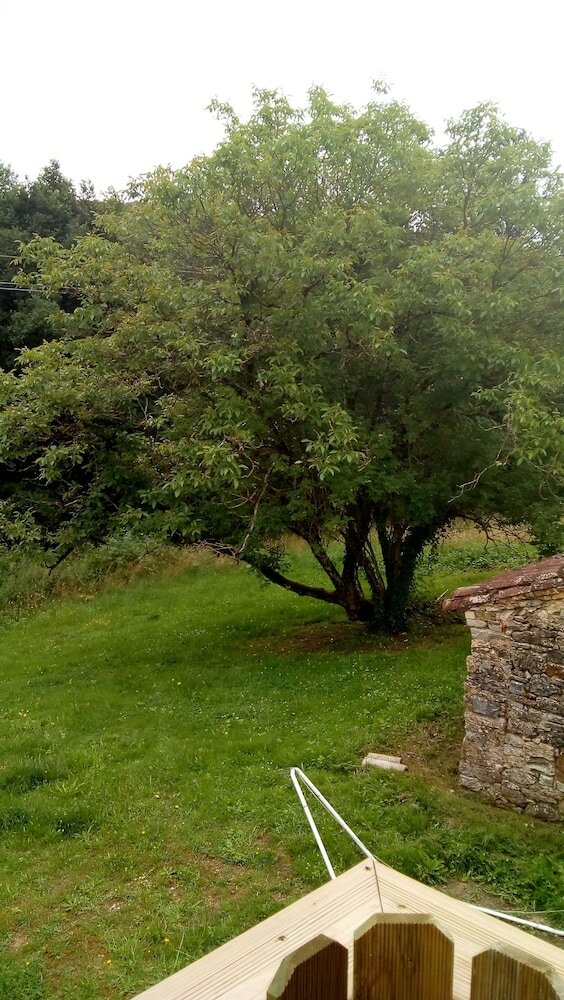 Bed & Breakfast Domaine de La Velle