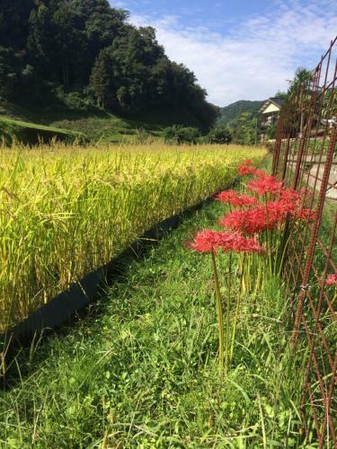 Hostal Yamabitoan